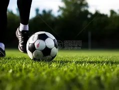 福原爱挑战,浓妆艳抹,日本媒体称,开云体育,开云体育官网,开云体育app,开云体育app下载